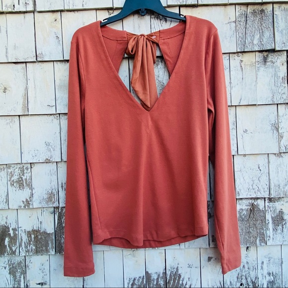NWT Free People Terracotta Taupe V-Neck Long Sleeve Top with Tie Back Size XL - Picture 1 of 8
